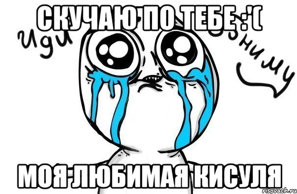 СКУЧАЮ ПО ТЕБЕ :'( МОЯ ЛЮБИМАЯ КИСУЛЯ, Мем Иди обниму