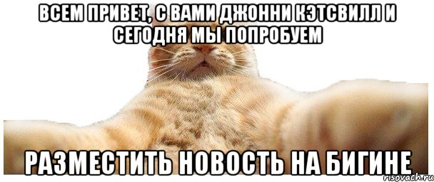 Всем привет, с вами Джонни Кэтсвилл и сегодня мы попробуем разместить новость на Бигине, Мем   Кэтсвилл