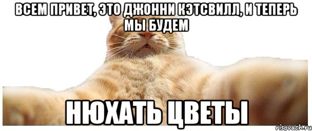 Всем привет, это Джонни Кэтсвилл, и теперь мы будем НЮХАТЬ ЦВЕТЫ, Мем   Кэтсвилл