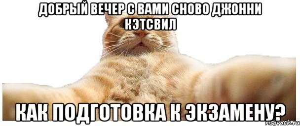 Добрый вечер с вами сново Джонни Кэтсвил как подготовка к экзамену?, Мем   Кэтсвилл