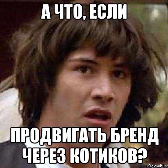 А что, если продвигать бренд через котиков?, Мем А что если (Киану Ривз)