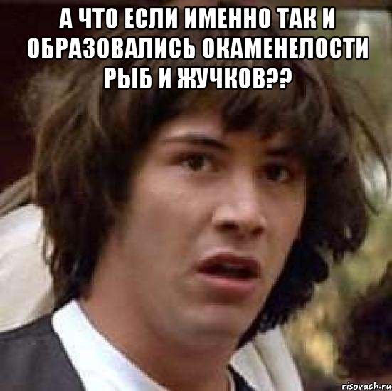 а что если именно так и образовались окаменелости рыб и жучков?? , Мем А что если (Киану Ривз)