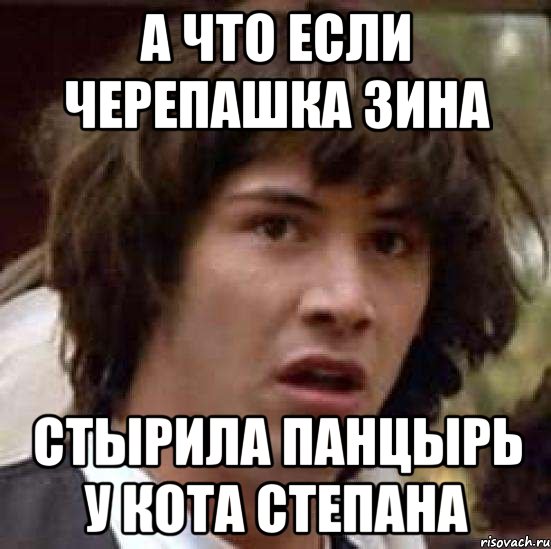 А что если черепашка зина Стырила панцырь у кота Степана, Мем А что если (Киану Ривз)