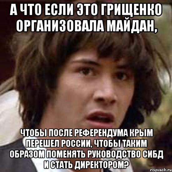 А что если это Грищенко организовала майдан, чтобы после референдума Крым перешел России, чтобы таким образом поменять руководство СИБД и стать директором?, Мем А что если (Киану Ривз)