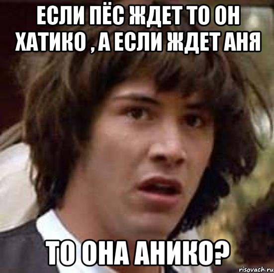 Если пёс ждет то он хатико , а если ждет Аня то она Анико?, Мем А что если (Киану Ривз)