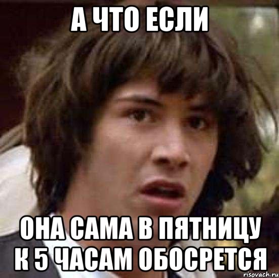 А ЧТО ЕСЛИ ОНА САМА В ПЯТНИЦУ К 5 ЧАСАМ ОБОСРЕТСЯ, Мем А что если (Киану Ривз)