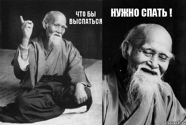 Что бы выспаться нужно спать !, Комикс Мудрец-монах (2 зоны)