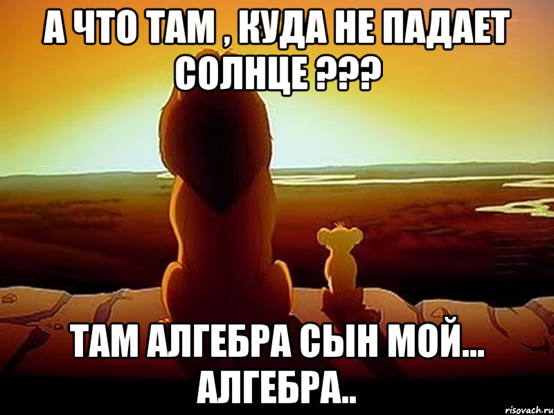 А что там , куда не падает солнце ??? Там алгебра сын мой... алгебра.., Мем  король лев