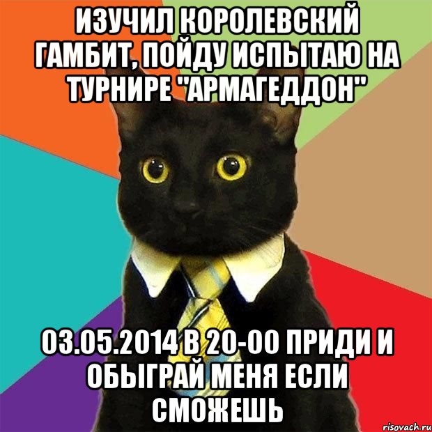 Изучил королевский гамбит, пойду испытаю на турнире "Армагеддон" 03.05.2014 в 20-00 приди и обыграй меня если сможешь, Мем  Кошечка