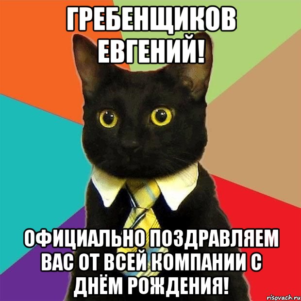 Гребенщиков Евгений! Официально поздравляем Вас от всей компании с днём рождения!, Мем  Кошечка