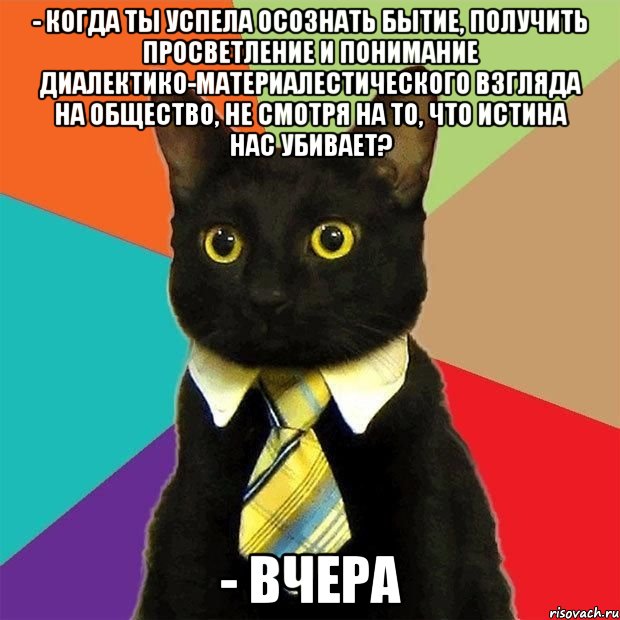 - когда ты успела осознать бытие, получить просветление и понимание диалектико-материалестического взгляда на общество, не смотря на то, что истина нас убивает? - вчера, Мем  Кошечка