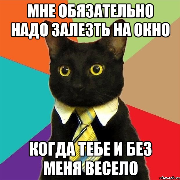 Мне обязательно надо залезть на окно Когда тебе и без меня весело, Мем  Кошечка