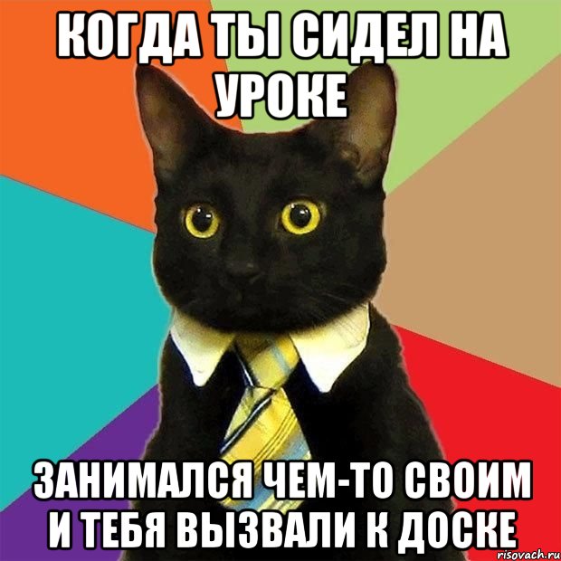 Когда ты сидел на уроке Занимался чем-то своим и тебя вызвали к доске, Мем  Кошечка