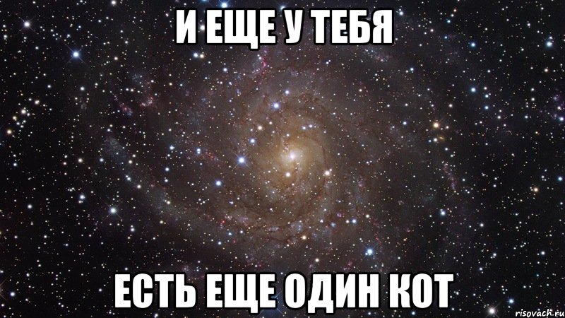 И еще у тебя есть еще один кот, Мем  Космос (офигенно)