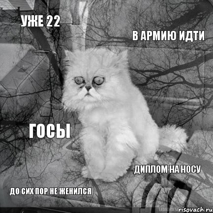 уже 22 в армию идти до сих пор не женился диплом на носу госы