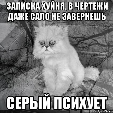 записка хуйня, в чертежи даже сало не завернешь серый психует, Комикс  кот безысходность