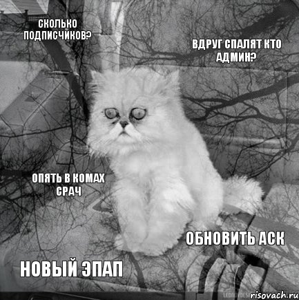 Сколько подписчиков? Вдруг спалят кто админ? Новый эпап Обновить аск Опять в комах срач, Комикс  кот безысходность