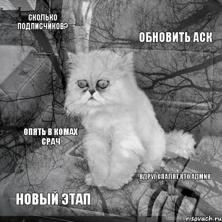 Сколько подписчиков? Обновить аск Новый этап Вдруг спалят кто админ Опять в комах срач, Комикс  кот безысходность