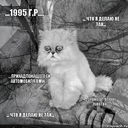 ...1995 г.р.... ... что я делаю не так... ... что я делаю не так... ... зависть - плохое чувство... ...принадлежащего ей автомобиля BMW..., Комикс  кот безысходность