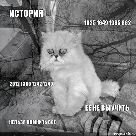 история 1825 1649 1985 862 нельзя помнить все ее не выучить 2012 1380 1242 1240, Комикс  кот безысходность