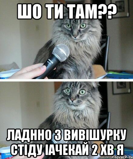 шо ти там?? ладнно з вивішурку стіду іачекай 2 хв я, Комикс  кот с микрофоном