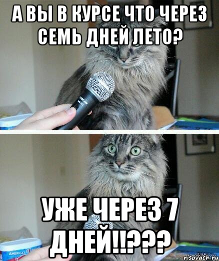 А вы в курсе что через семь дней лето? Уже через 7 дней!!???, Комикс  кот с микрофоном