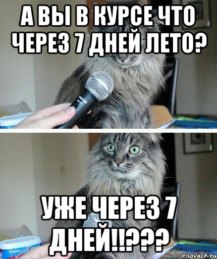 А вы в курсе что через 7 дней лето? Уже через 7 дней!!???, Комикс  кот с микрофоном