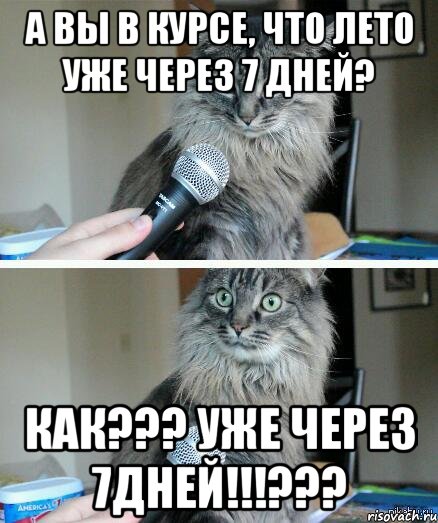 А вы в курсе, что лето уже через 7 дней? как??? уже через 7дней!!!???, Комикс  кот с микрофоном