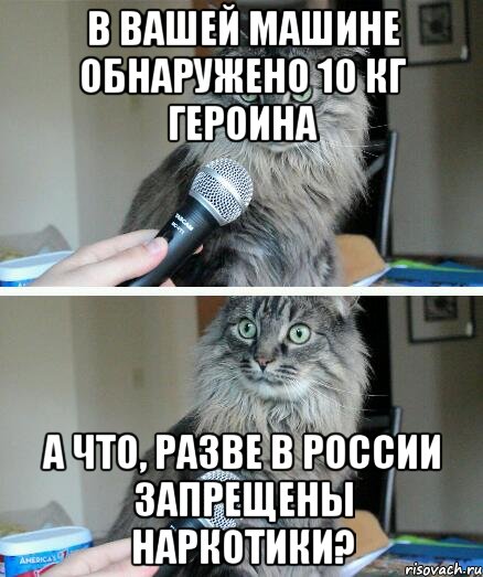 В вашей машине обнаружено 10 кг героина А что, разве в России запрещены наркотики?, Комикс  кот с микрофоном