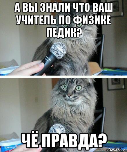 А вы знали что ваш учитель по физике педик? Чё правда?, Комикс  кот с микрофоном