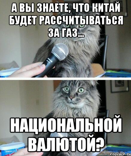 а вы знаете, что китай будет рассчитываться за газ... национальной валютой?, Комикс  кот с микрофоном