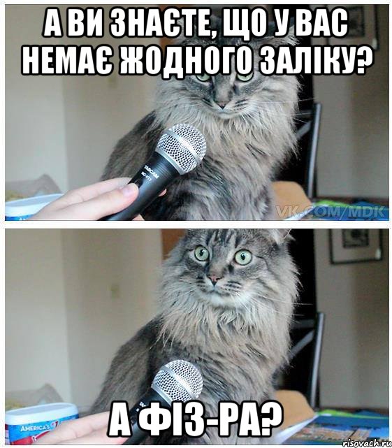 а ви знаєте, що у вас немає жодного заліку? а фіз-ра?, Комикс  кот с микрофоном