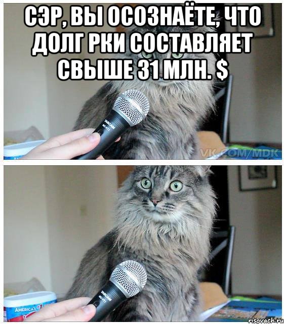 Сэр, вы осознаёте, что долг РКИ составляет свыше 31 млн. $ , Комикс  кот с микрофоном