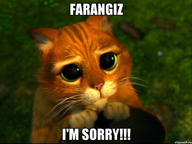 Farangiz I'm sorry!!!, Мем кот из шрека