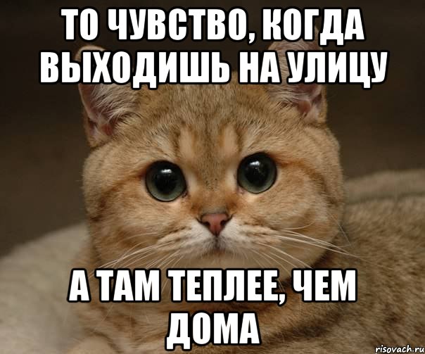 то чувство, когда выходишь на улицу а там теплее, чем дома, Мем Пидрила Ебаная