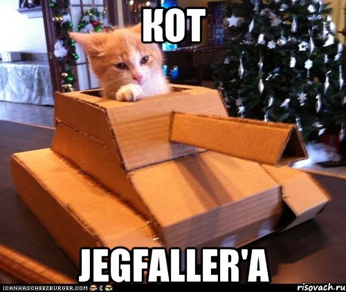 КОТ JegFaller'а