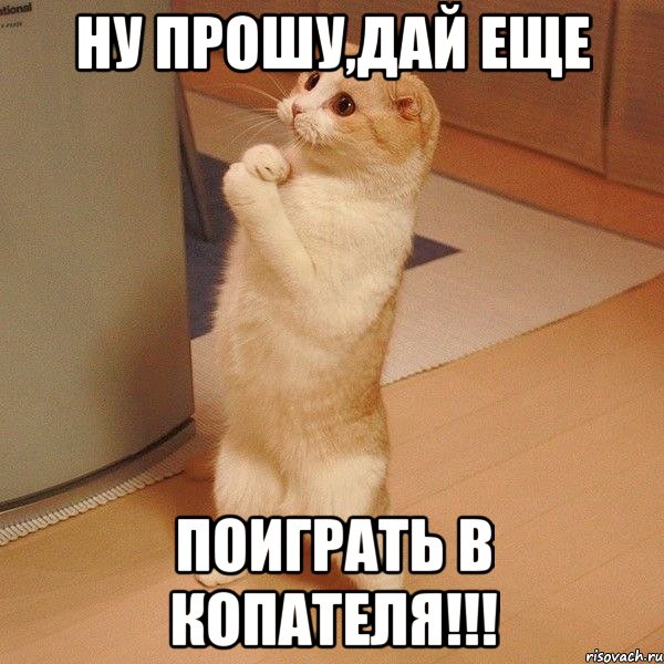 ну прошу,дай еще поиграть в копателя!!!, Мем  котэ молится