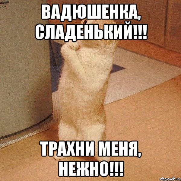 Вадюшенка, сладенький!!! Трахни меня, нежно!!!, Мем  котэ молится