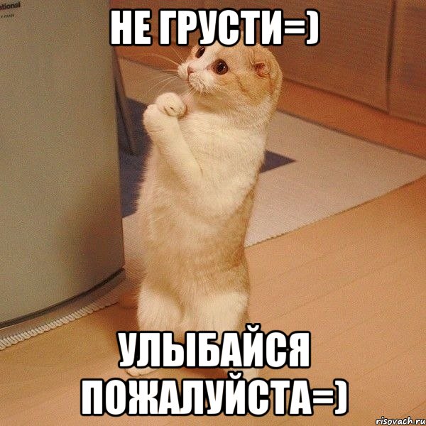 Не грусти=) Улыбайся пожалуйста=), Мем  котэ молится