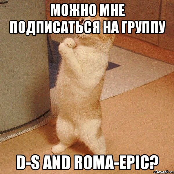 можно мне подписаться на группу D-S and Roma-Epic?, Мем  котэ молится