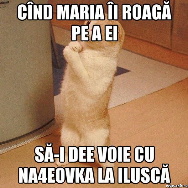 Cînd MARIA îi roagă pe a ei să-i dee voie cu na4eovka la Iluscă, Мем  котэ молится