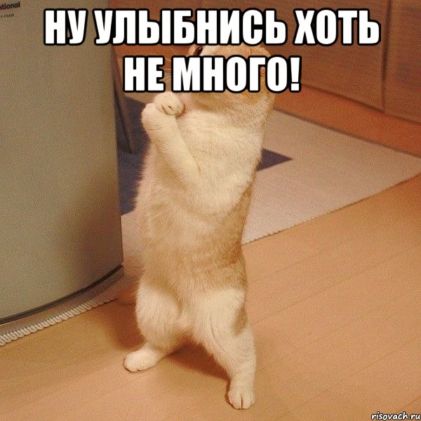 Ну улыбнись хоть не много! , Мем  котэ молится