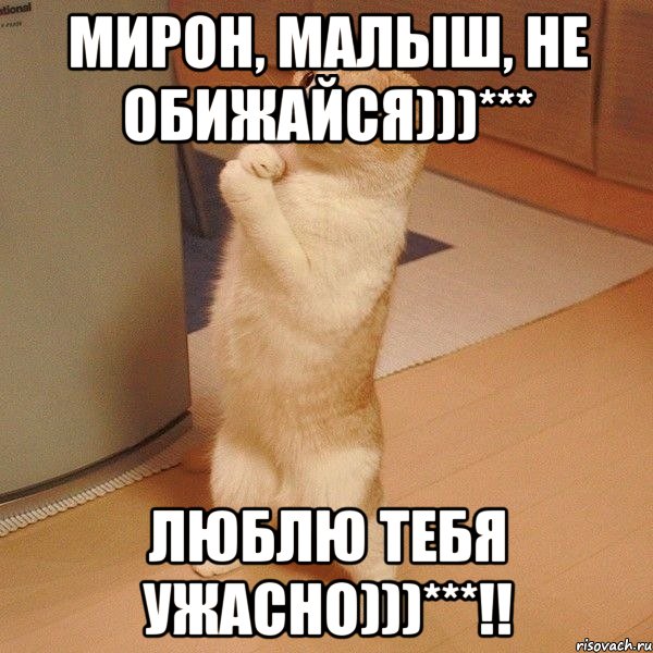 Мирон, малыш, не обижайся)))*** Люблю тебя ужасно)))***!!, Мем  котэ молится