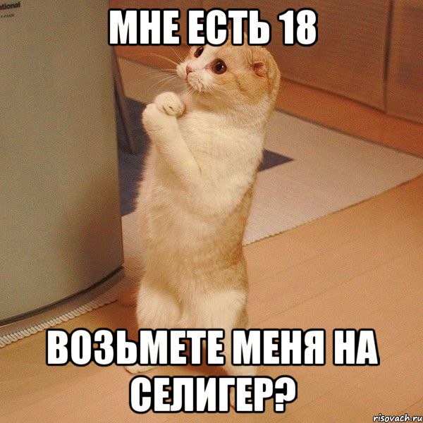 Мне есть 18 возьмете меня на Селигер?, Мем  котэ молится