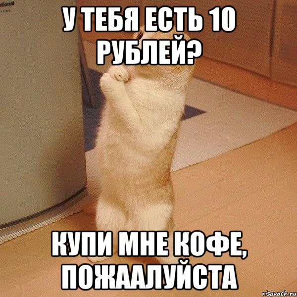 У тебя есть 10 рублей? Купи мне кофе, пожаалуйста, Мем  котэ молится