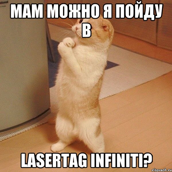 мам можно я пойду в Lasertag Infiniti?, Мем  котэ молится