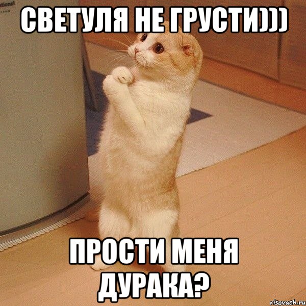 Светуля не грусти))) Прости меня дурака?, Мем  котэ молится