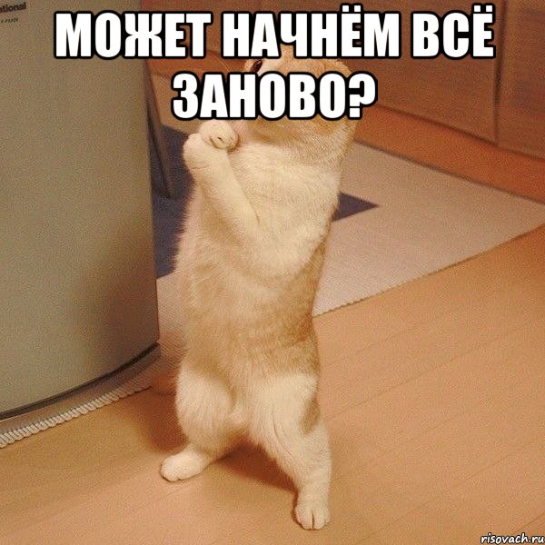 может начнём всё заново? , Мем  котэ молится