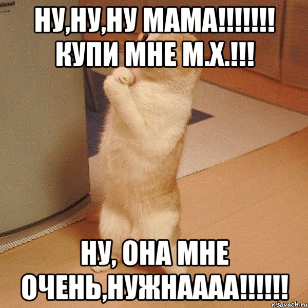 Ну,НУ,НУ МАМА!!!!!!! КУПИ МНЕ М.Х.!!! НУ, ОНА МНЕ ОЧЕНЬ,НУЖНАААА!!!!!!, Мем  котэ молится