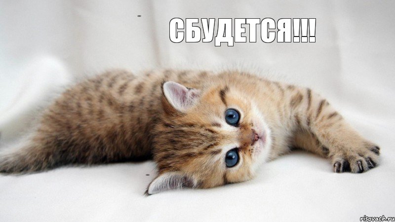 Сбудется!!! Сбудется!!! Сбудется!!!, Комикс Котэ